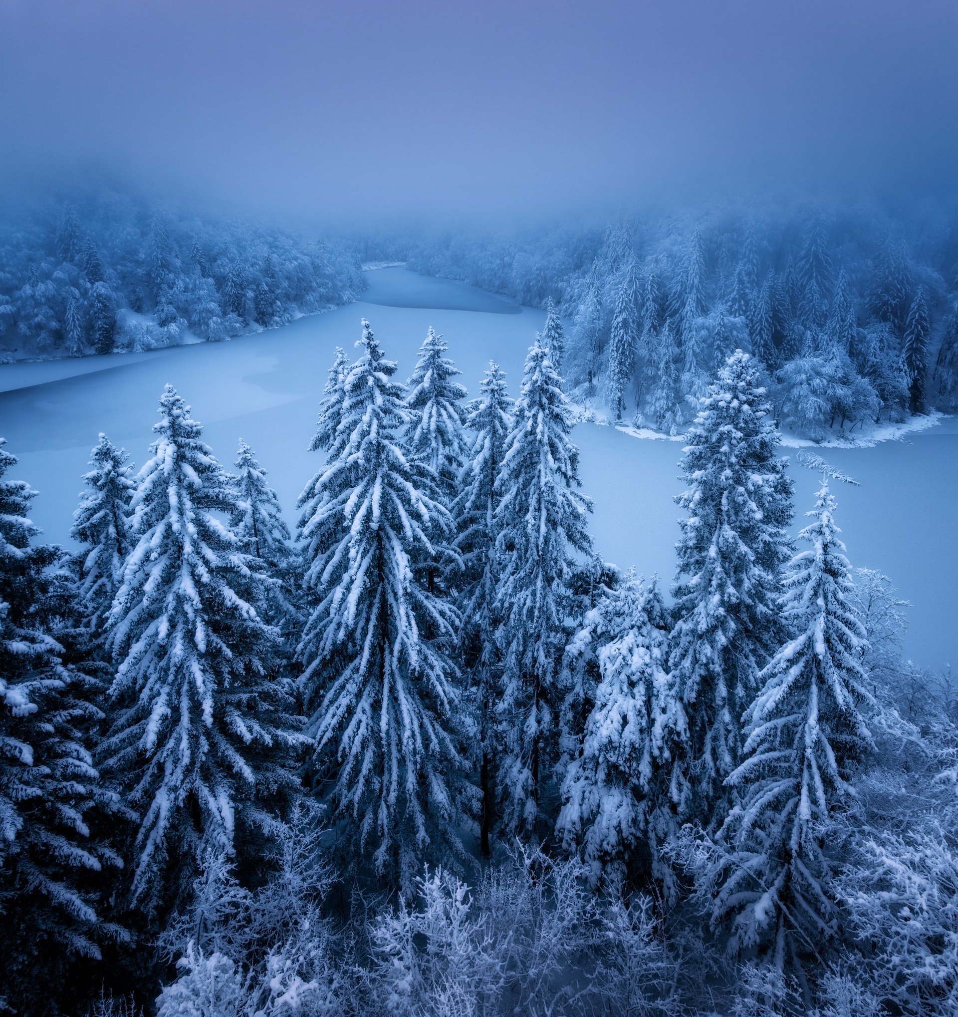 Aerial drone view of snowy pine forest with frozen lake in misty winter landscape of Plitvice Lakes National Park