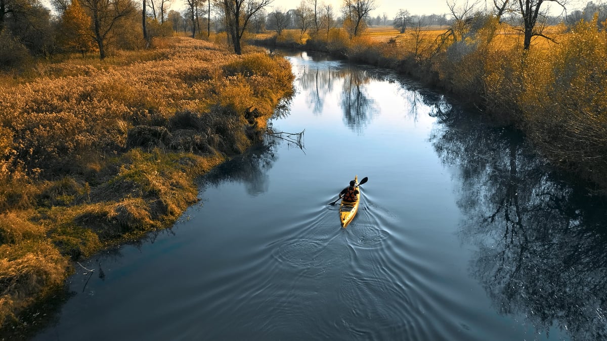Overhead shot of a lone kayaker paddling through a serene, winding river surrounded by autumn foliage