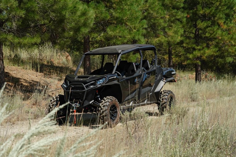 Black off-road UTV navigating through dry brush and grass terrain with pine forest in background