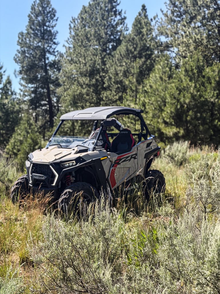 Black side-by-side UTV parked in sagebrush terrain with tall pine trees in the background on a clear day