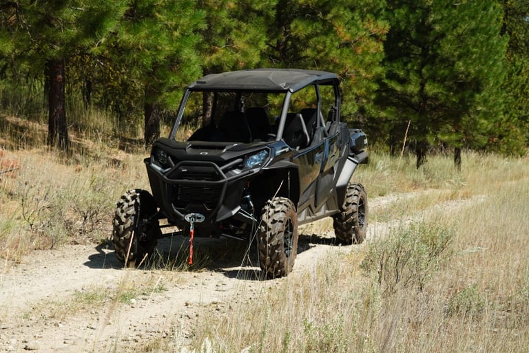 Black side-by-side UTV vehicle driving on a dusty trail through brush and forest terrain
