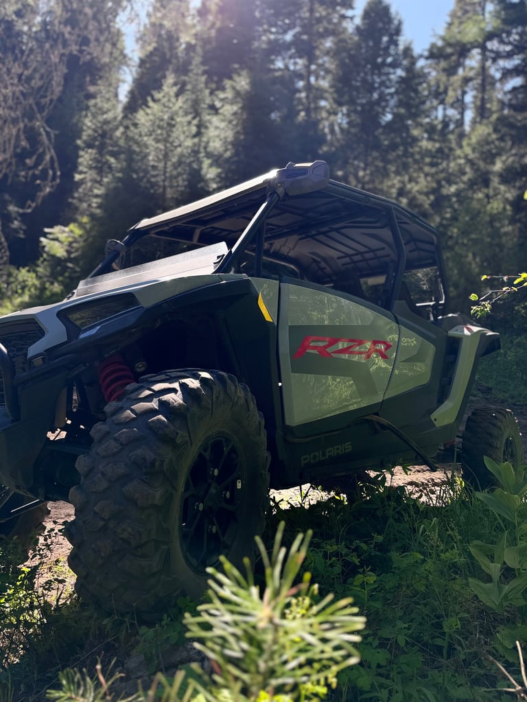 Green off-road vehicle with roof rack parked in forest surrounded by tall pine trees on sunny day