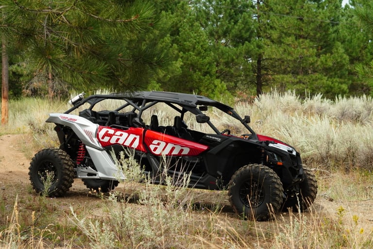 Can Am off-road vehicle parked in desert terrain with dry grass and pine forest in background