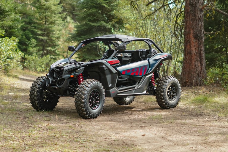 Black and red off-road buggy parked on dirt road with tall evergreen trees in background
