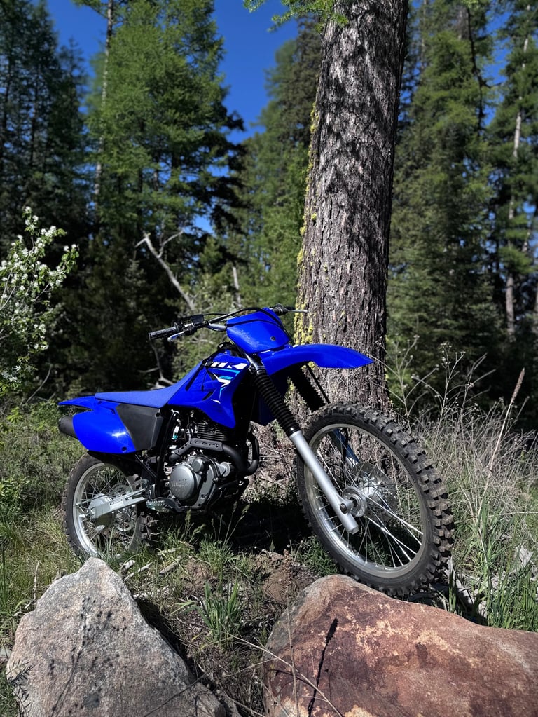 Blue dirt bike parked on rocks in a forest clearing with tall pine trees in background