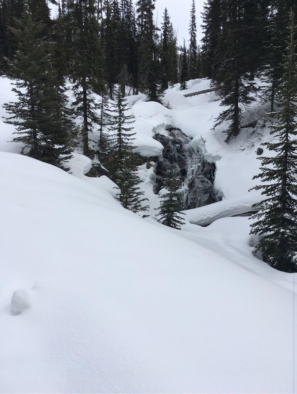 Donnelly- Council Mountain Level 3 Tour